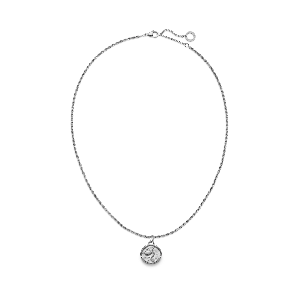 Aquarius Charm Silber - Image 4