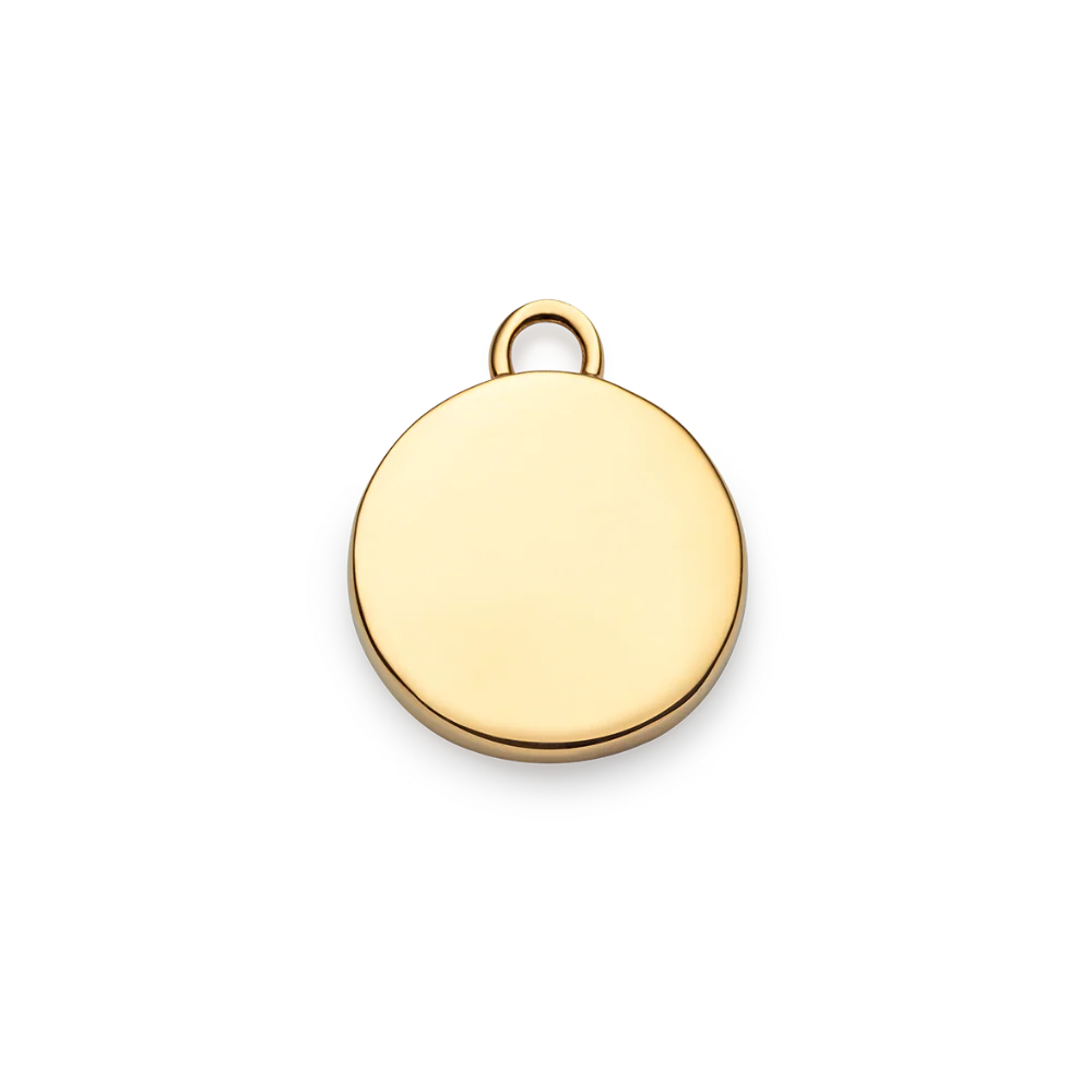 Capricorn Charm Gold - Image 4