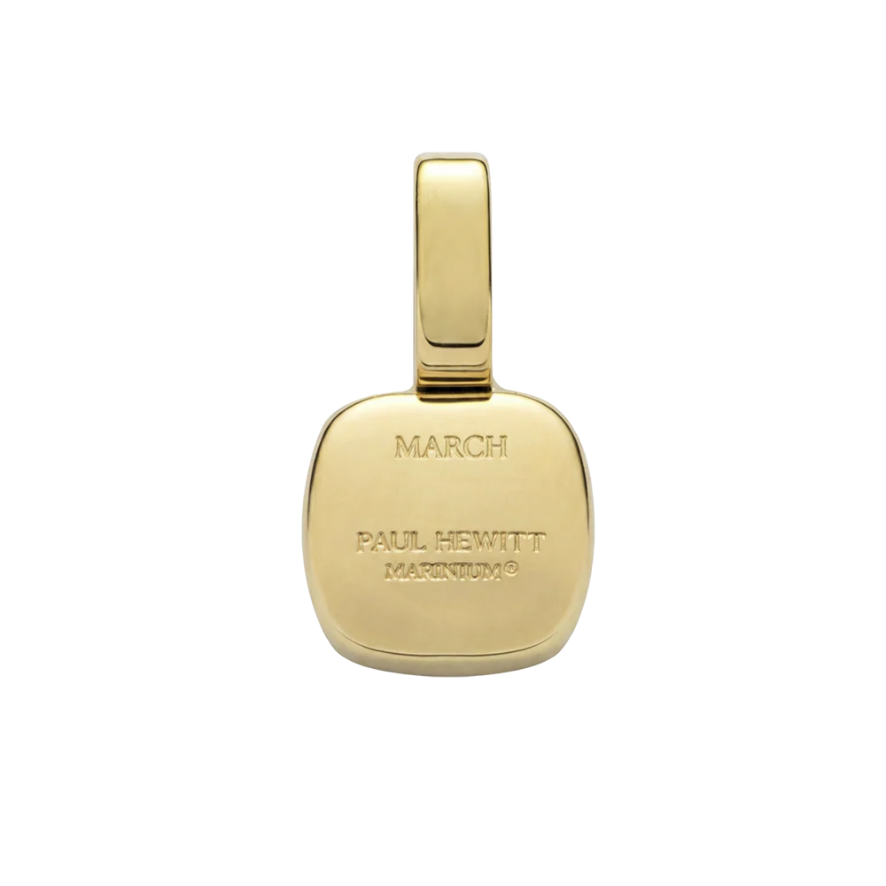 Set Birthstone Charm March und Halskette Gold - Image 7