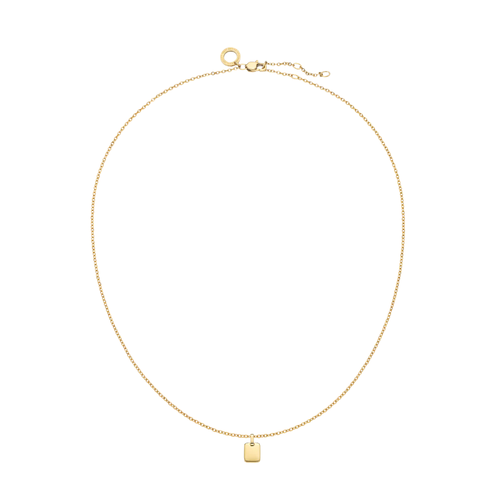 Set Engravable Plate Pendant und Halskette Gold - Image 4