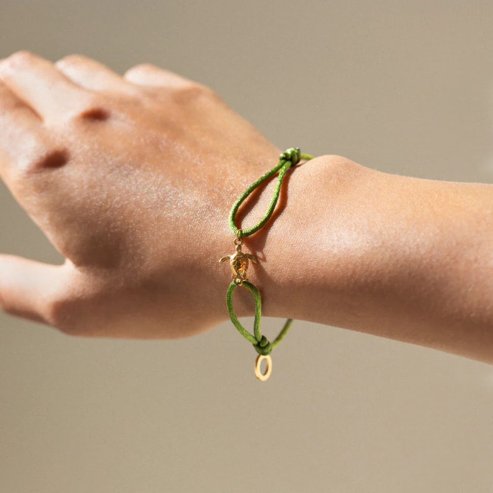 Turtle Band Grün - Image 3